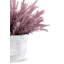 Casper Wheatgrass Arrangement