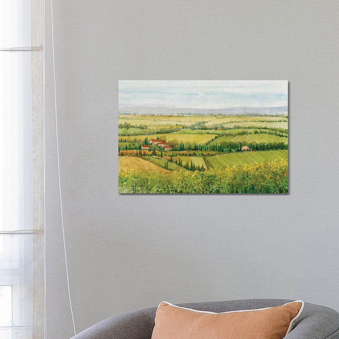 Wine Country View I by Tim OToole - Wrapped Canvas Painting