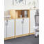 Taina 3 -Shelf Storage Cabinet