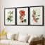 Turpin Tropical Botanicals VI - reproduction sur mesure encadrée de qualité supérieure - 3 pièces-1603302473-1603302475