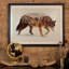 « arctique loup », impression-22133226-22133222