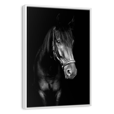 Black Horse In The Dark
