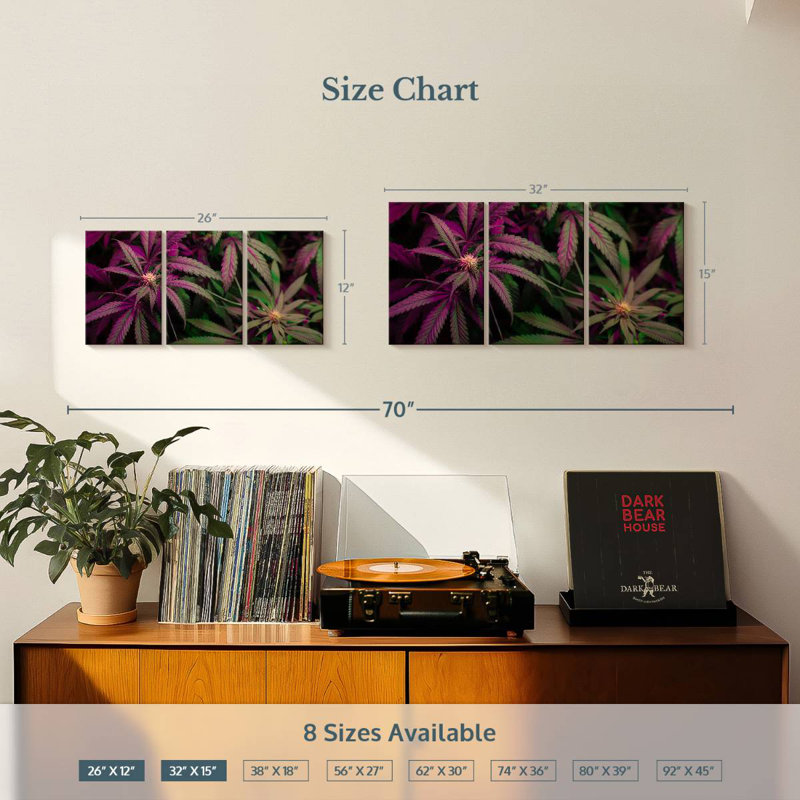 Lavander Marijuana, 12" H x 26" W