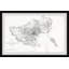 New Haven - cadre photo, impression sur papier-679725369