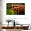 Brampt Fluffy Highland Cows-108001027