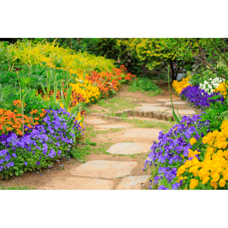 Un jardin de fleurs, H 8 po x l 12 po