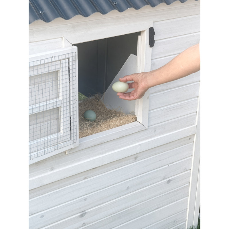 Modern Modern Nesting - Poulailler