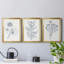 Indigo Botany Study IV - Ensemble de 3 peintures sur toile encadrées-1171059435-1171059430