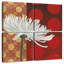 Harnek Morning Chrysanthemum I-109098993