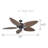 52" 5 - Blade Leaf Blade Ceiling Fan with Pull Chain