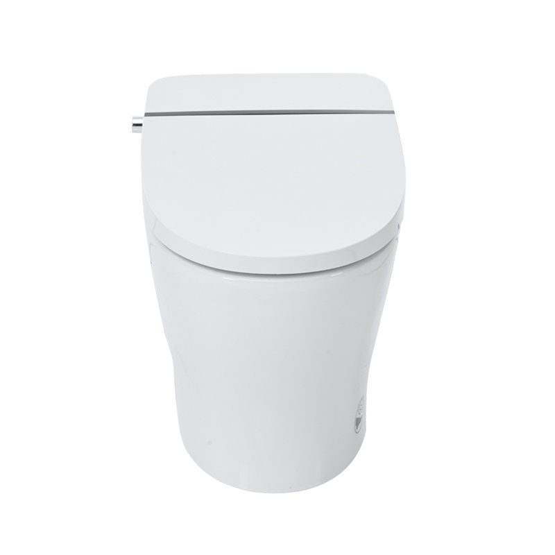 Mondawe Tankless 1.28 Gallons Power Outage Flushing Round Bidet Toilet Smart Toilet with Foot Sensor Flush and Night Light (Seat Included)