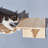 Minier Cat Perch