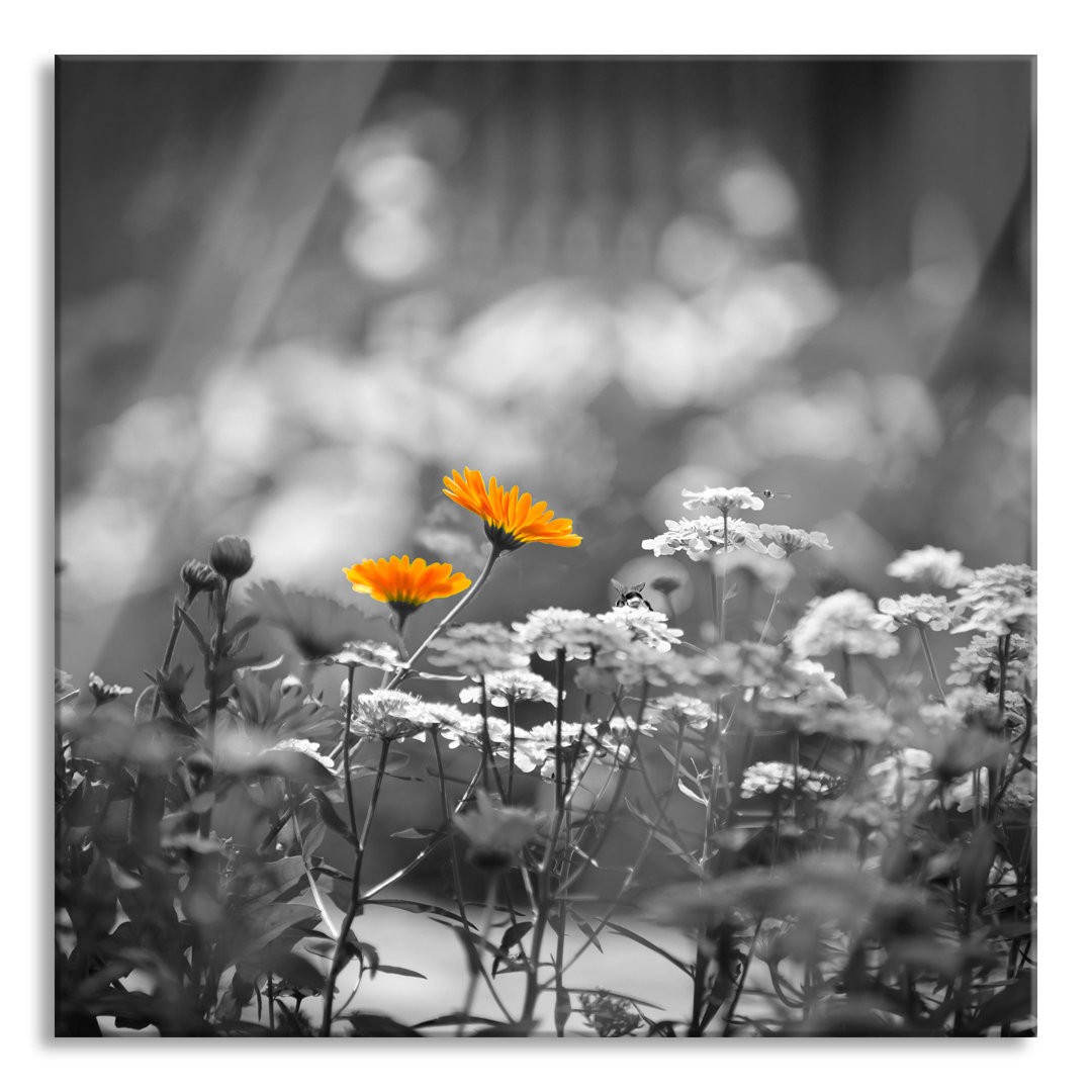 Glasbild Gartenblumen auf Wiese