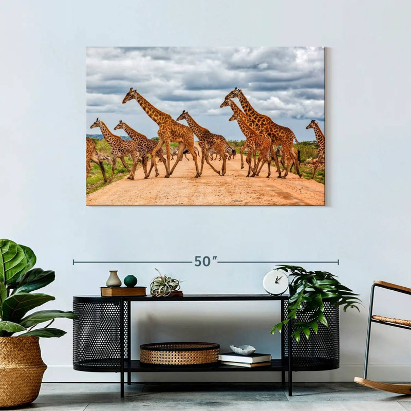 Brampt Giraffes Safari Animals