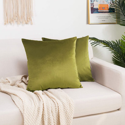 Shiny Velvet Pillow Cover