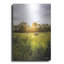 'Daybreak in the Country I' by Donnie Quillen Metal Wall Art,-1446897444