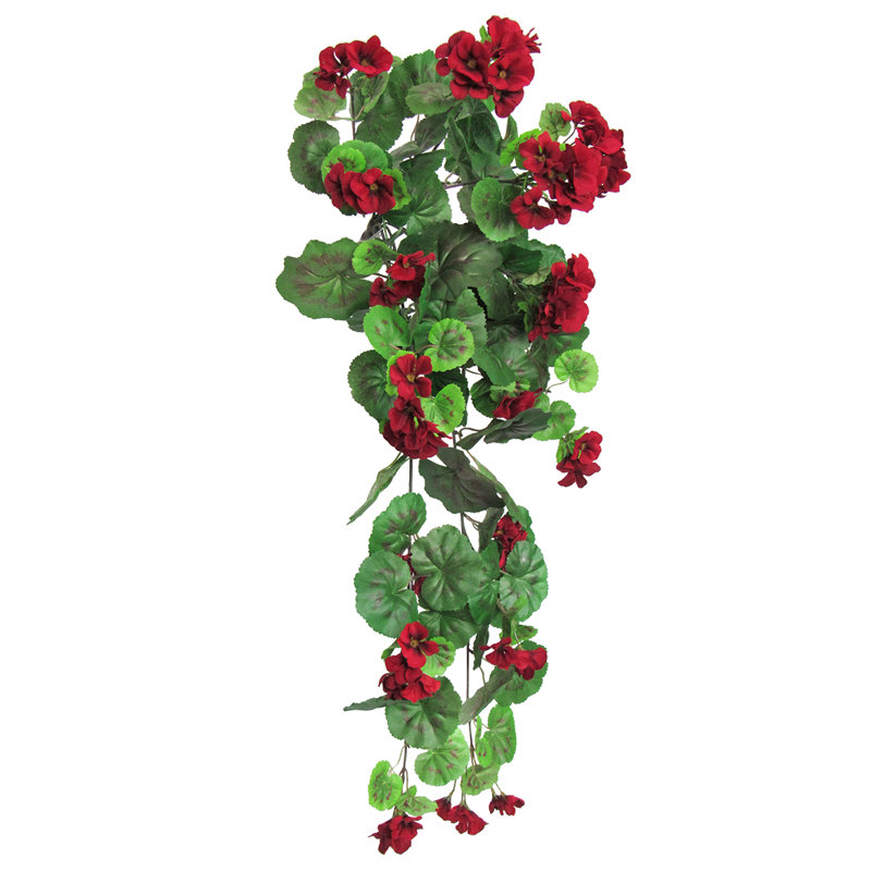 Buisson de géranium suspendu, Rouge / vert