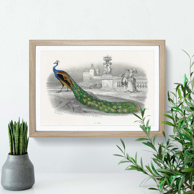 Admiring a Peacock - Picture Frame Painting Print, Oak Framed, 27cm H x 36cm W x 2cm D