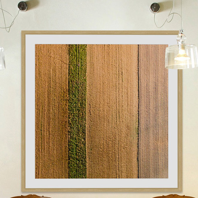 « seeded land » par karolis janulis, reproduction d’art encadrée, H 24 po x l 24 po