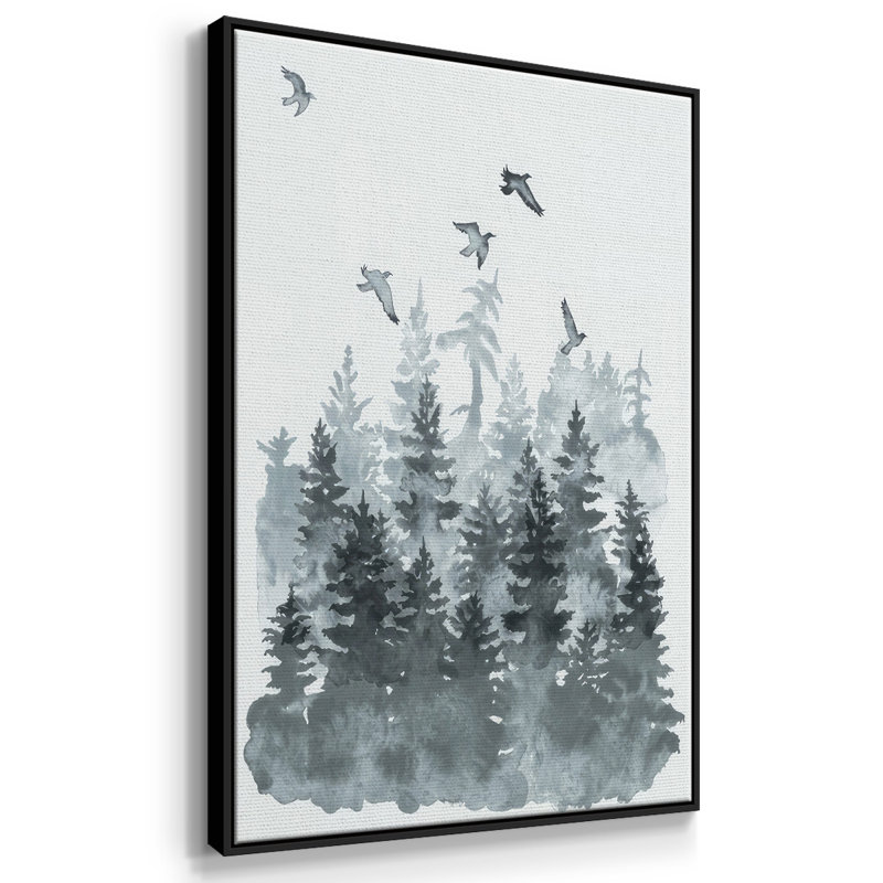 Sierra Vista II, reproduction d'art sur toile, Cadre flottant noir, H 25 po x l 17 po x P 1,5 po