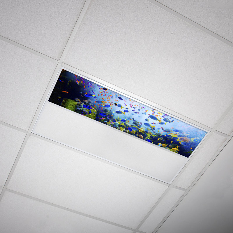 Ocean Rectangle Fixture Component Ceiling Light