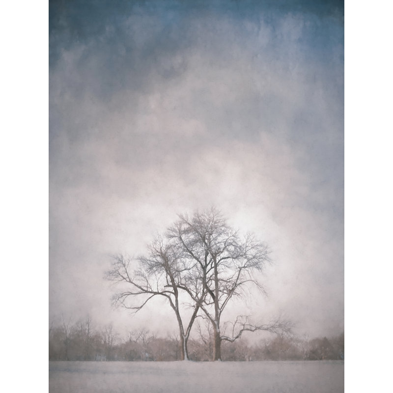 Two Trees Print by Scott Norris