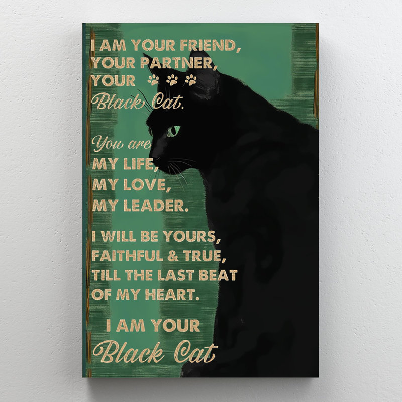 " I Am Your Black Cat "