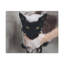 No Frame Print on Canvas-1983220023
