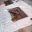 Photos des clients 4 de 4