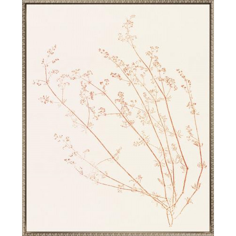 Floral Trace VI Canvas Wall Art