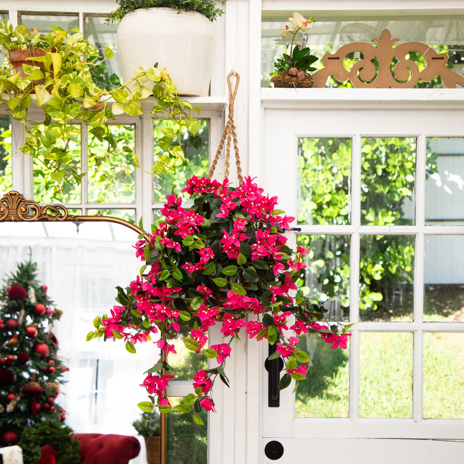 28" Geranium Hanging Basket, Pink