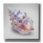 «Shell On Blue» par Svetlana Aleynikova, art mural sur toile-611213413