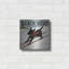 «Black Dog Ski» par Ryan Fowler-2105905772