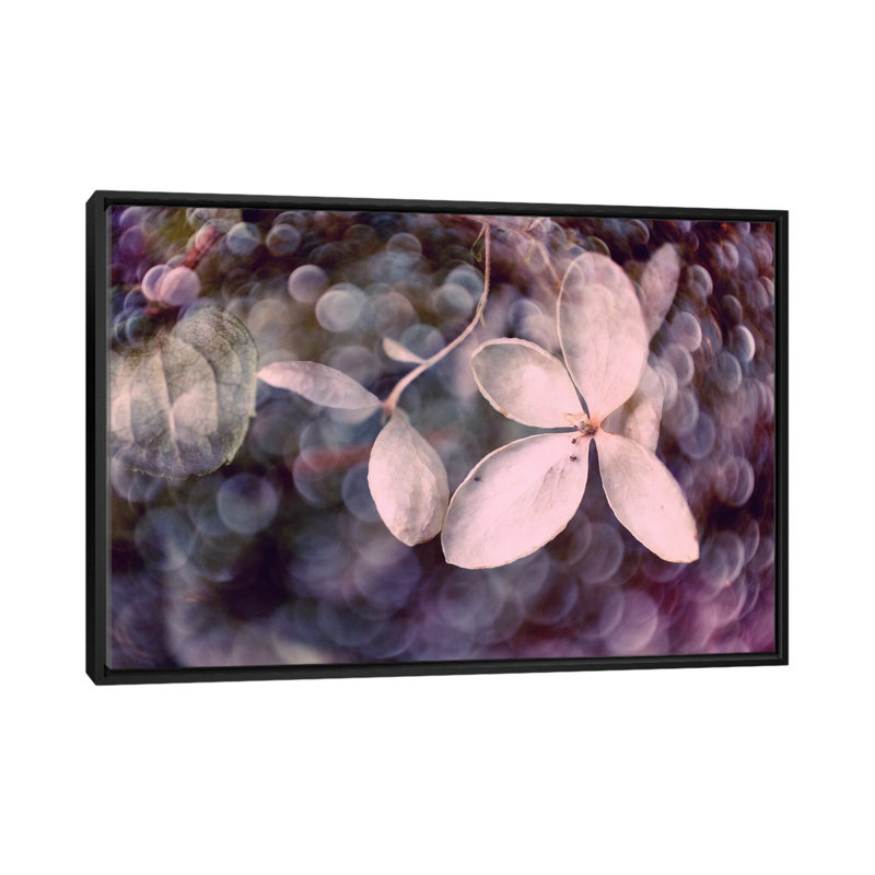 «Hydrangea mauve» par Judy Stalus, impression sur toile tendue, H 18 po x l 26 po x P 1,5 po, Pas de tapis
