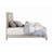 Sliverfluff Upholstered Faux Leather Standard Bed with Drawers-98222261