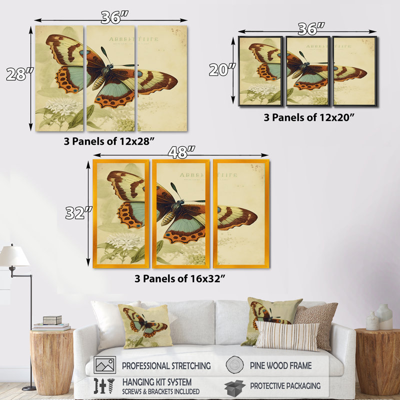 Illustration rétro de papillon IV - animaux, ensemble d'art mural sur toile_80515, H 28 po x l 36 po x P 1 po