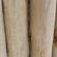 Bordure de jardin en bois d'eucalyptus-67400675