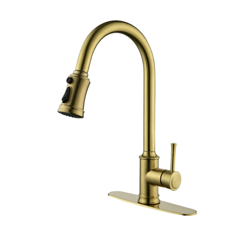 Single Handle High Arc Pull Out Kitchen Faucet,Single Level Stainlesaucets With Pull Down Sprayer, Brushed Gold