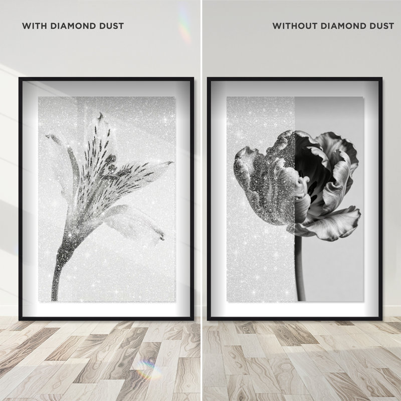 Peeking Flowers Set Set by Oliver Gal, 37.5" H x 25.5" W, Black Shadowbox