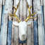 Christmas Figurines & Collectibles-275058974-364553569