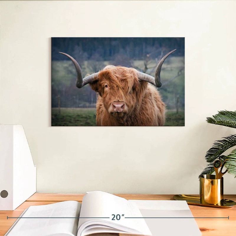 Brampt Wooly Highland Cow, H 8 po x l 12 po