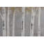 Acrylbild Gold of Birches
