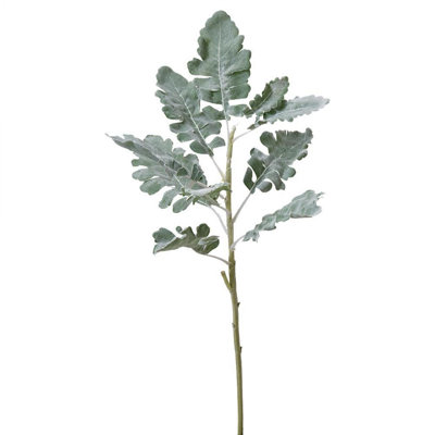 Branche de feuillage Dusty Miller