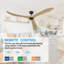 Ventilateur de plafond-1528460787-1528460784