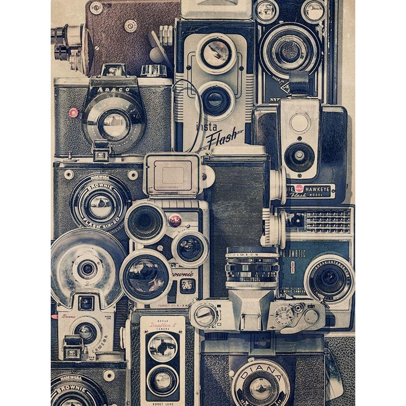  «Brown, Thomas Gallery», reproduction d'art sur toile titrée: Appareils photo rétro, H 36 po x l 28 po