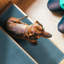 Tapis d'escalier antidérapant Earnestean-88489069-131459818