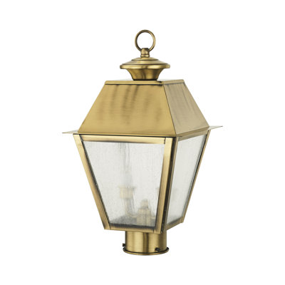 Fraida Lantern Head