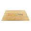 Non-Slip Indoor Doormat