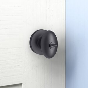 https://assets.wfcdn.com/im/35375744/resize-h300-w300%5Ecompr-r85/1219/121999462/Acus+Privacy+Door+Knob+with+Circular+Rosette.jpg