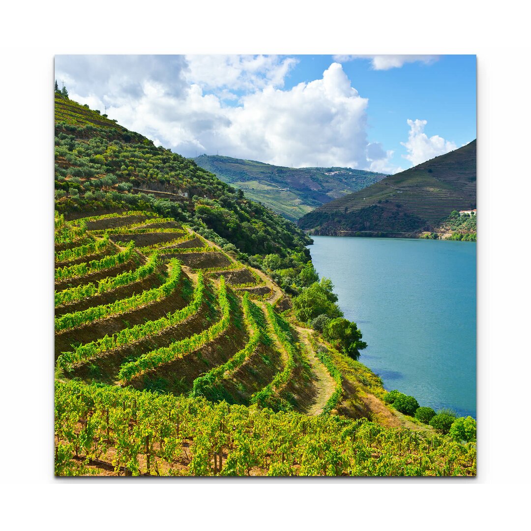 Leinwandbild Weinberge am Fluss Douro in Portugal